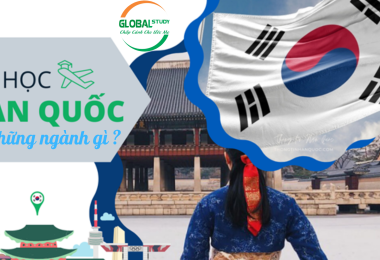Du Học Hàn Quốc Có Những Ngành Gì?