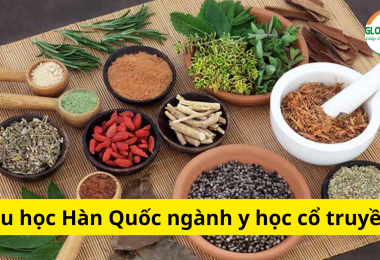 Du Học Hàn Quốc Ngành Y Học Cổ Truyền