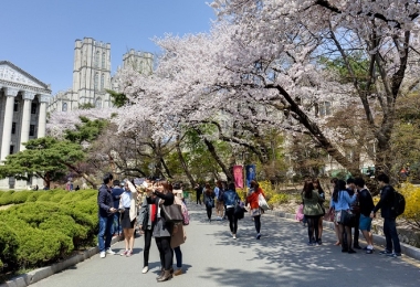 DU HỌC HÀN QUỐC - SỰ LỰA CHỌN HÀNG ĐẦU