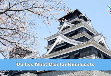 Du học Nhật Bản tại Kumamoto – Vùng đất của gấu Kumamon 