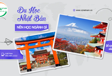 Du Học Nhật Nên Học Ngành Gì Để Dễ Xin Việc Nhất?