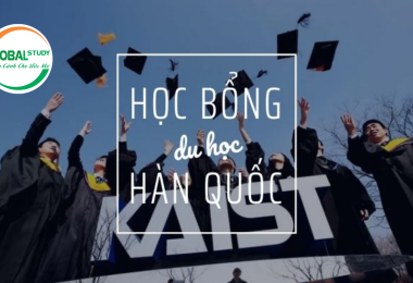 Bật mí cách xin học bổng du học Hàn Quốc đầy đủ nhất