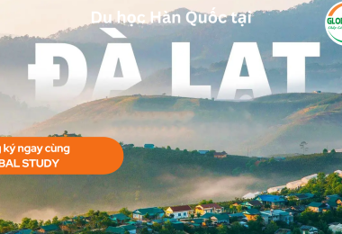 Du học Hàn Quốc tại Đà Lạt – Cam Kết Bay Trong 3 Tháng