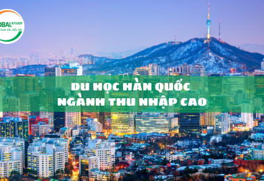 Đi du học Hàn Quốc nên học ngành gì lương cao?