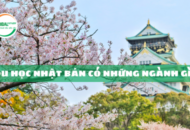 Du học Nhật Bản có những ngành gì?