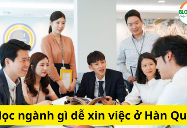 Học Ngành Gì Dễ Xin Việc Ở Hàn Quốc?
