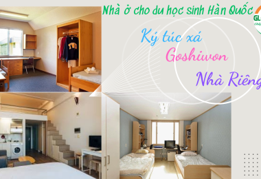 Nhà Ở Cho Du Học Sinh Hàn Quốc: Ký Túc Xá, Goshiwon Và Thuê Nhà Riêng