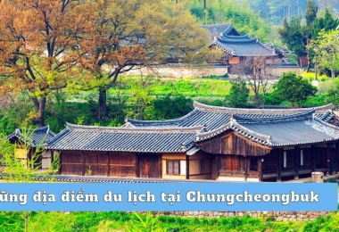 Khám phá những địa điểm du lịch tại Chungcheongbuk!