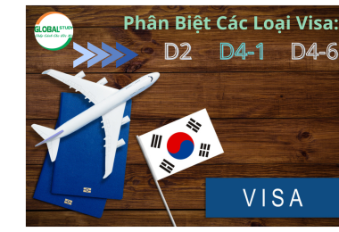 Phân Biệt Các Loại Visa: D2, D4-1, D4-6