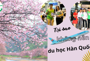 Tại Sao Không Nên Du Học Hàn?