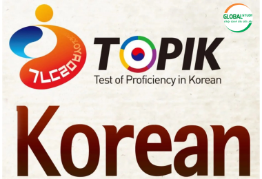 Thang Điểm TOPIK Du Học Hàn Quốc Là Gì? Cần Bao Lâu Để Chinh Phục TOPIK