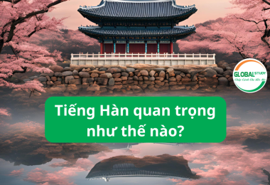 Tiếng Hàn Quan Trọng Như Thế Nào? Lợi Ích Và Cơ Hội Phát Triển