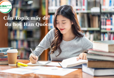 Cần Topik Mấy Để Đi Du Học Hàn Quốc? Giải Đáp Chi Tiết Cho Du Học Sinh