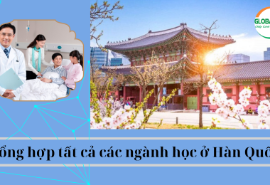 Tổng Hợp Tất Cả Các Ngành Học Ở Hàn Quốc