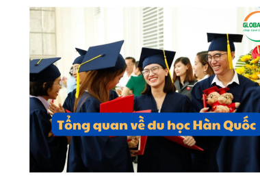 Tổng Quan Về Du Học Hàn Quốc: Lựa Chọn Hấp Dẫn Cho Tương Lai