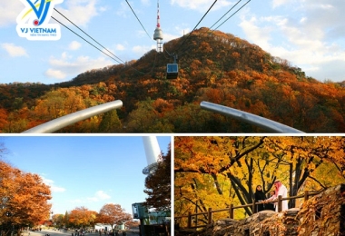 Top 4 địa điểm du lịch thiên nhiên tại Hàn Quốc