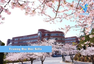 Đại Học Silla – TOP 10 trường đào tạo tiếng Hàn hàng đầu Hàn Quốc 